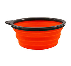 Collapsible Dog Bowl